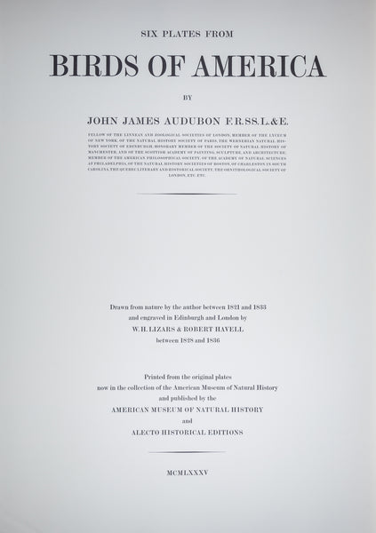 The portfolio of six (6) plates from Audubon's Birds of America