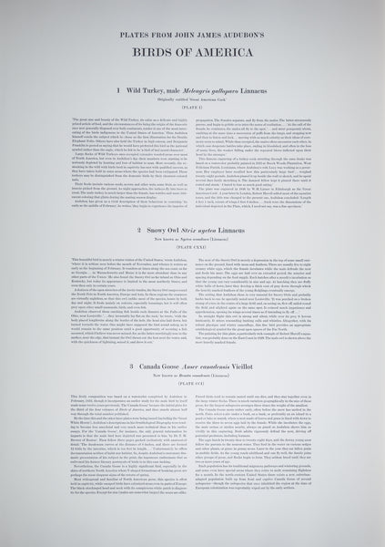 The portfolio of six (6) plates from Audubon's Birds of America