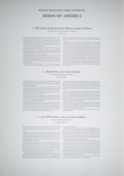 The portfolio of six (6) plates from Audubon's Birds of America