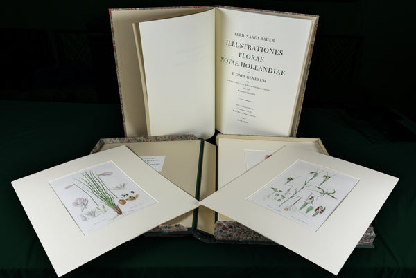 The complete edition of Bauer's Illustrationes Florae Novae Hollandiae