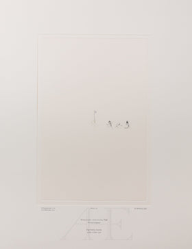 Banks Florilegium, Part 11, Plate 232