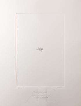 Banks Florilegium, Part 33, Plate 716