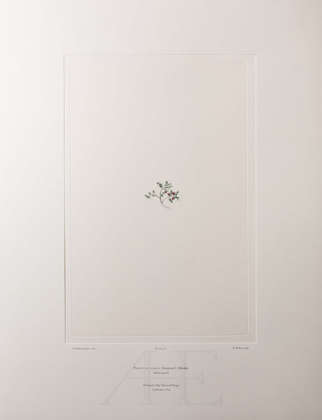 Banks Florilegium, Part 34, Plate 717