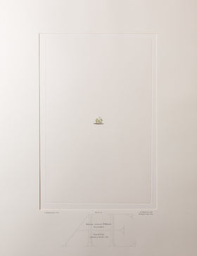 Banks Florilegium, Part 35, Plate 743