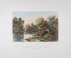 Tab 01 - Forest Scene on the Lehigh