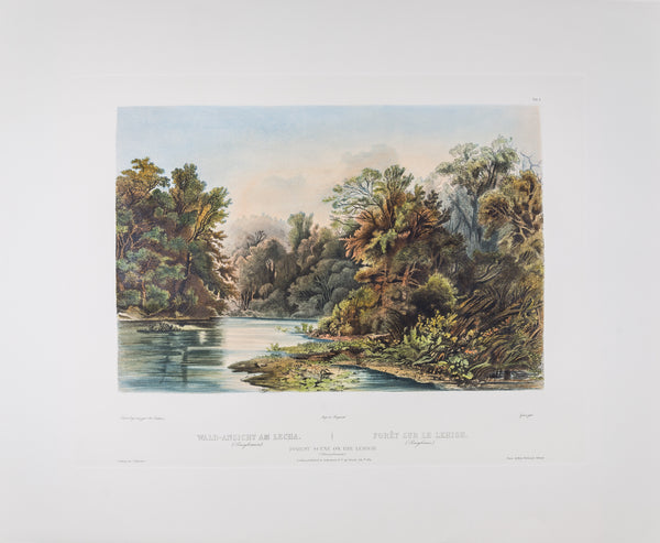 Tab 01 - Forest Scene on the Lehigh