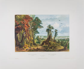 Tab 02 - New Harmony on the Wabash