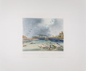 Tab 06 - Snags (Sunken Trees ) on the Missouri