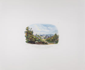 Vig IV - Forest Scene on the Tobihanna, Allegheny Mountains