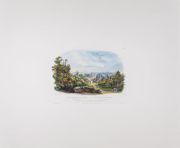 Vig IV - Forest Scene on the Tobihanna, Allegheny Mountains