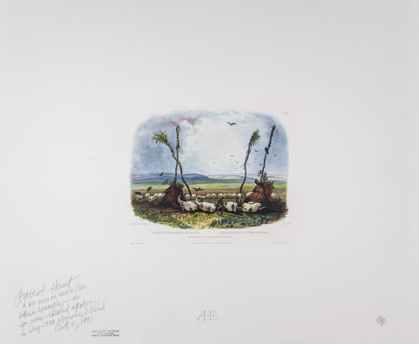 Vig XIV - Offering of the Mandan Indians